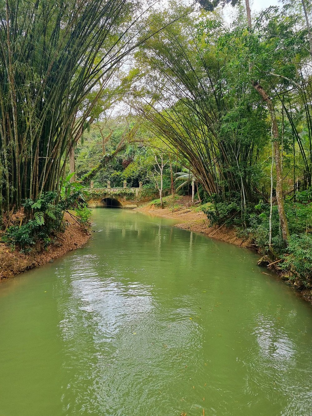 martha-brae-river.jpg